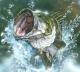 fisherman136's Avatar
